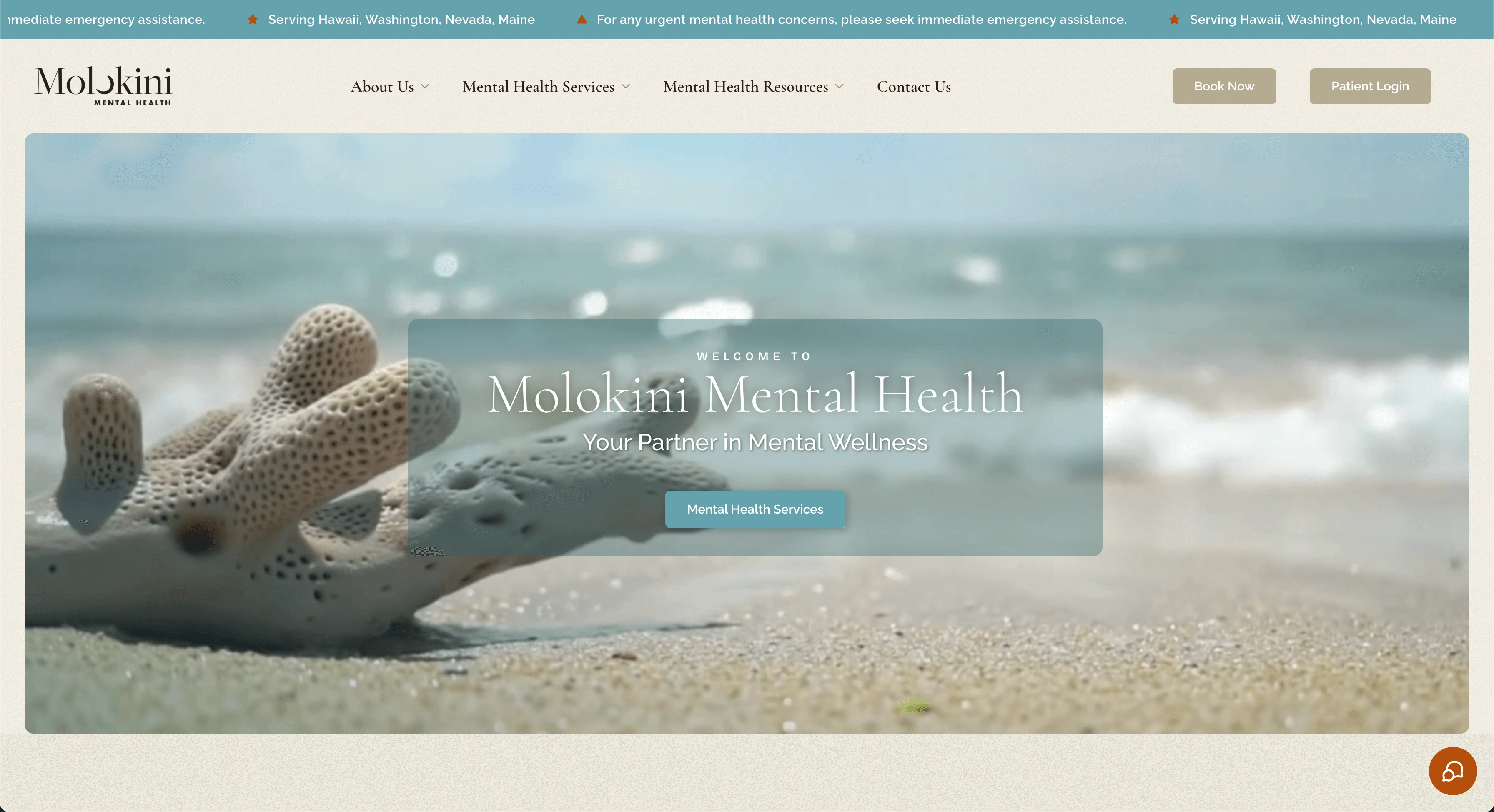 Molokini Mental Health Site Preview Image