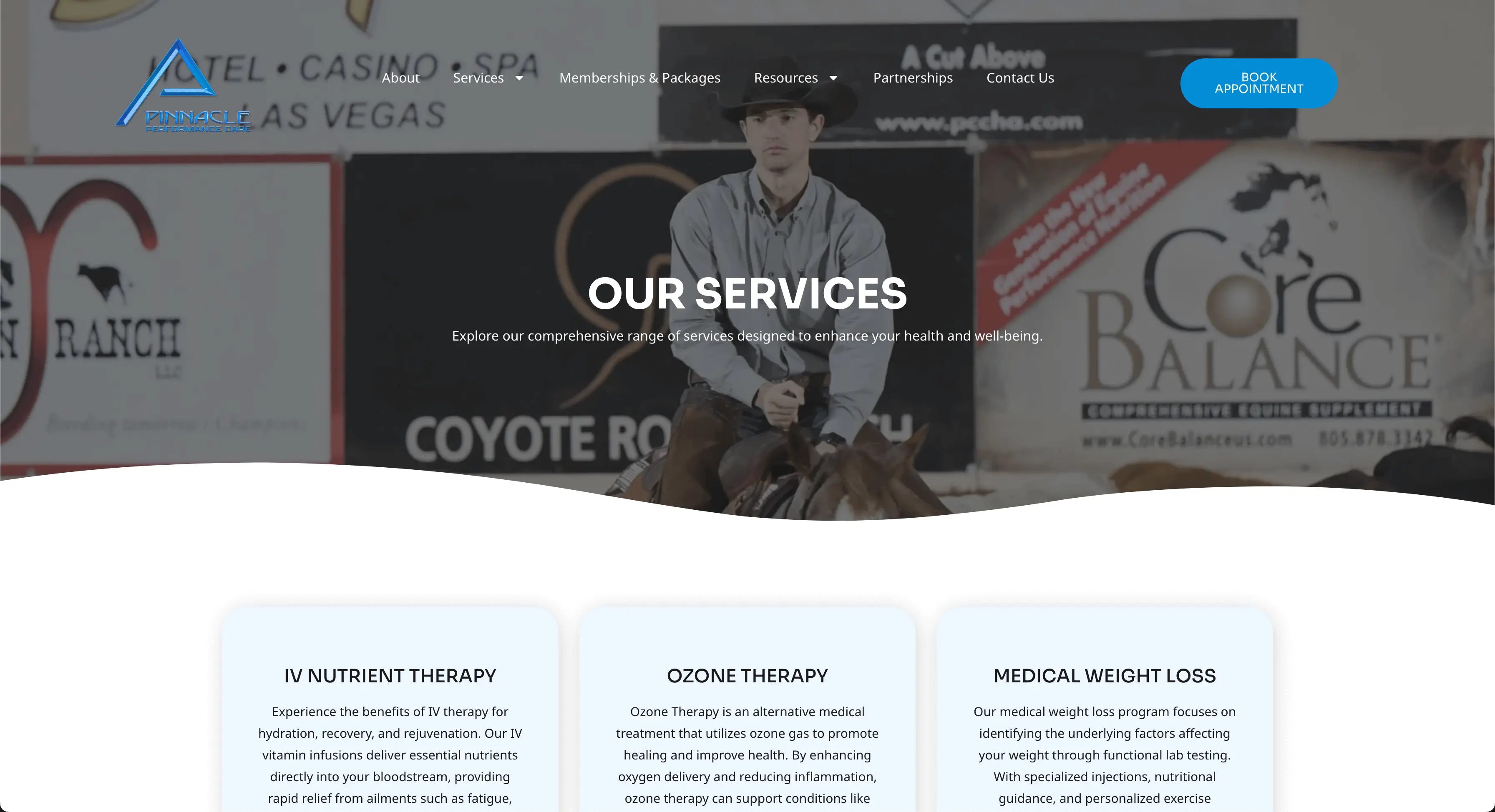 Pinnacle Site Preview Image