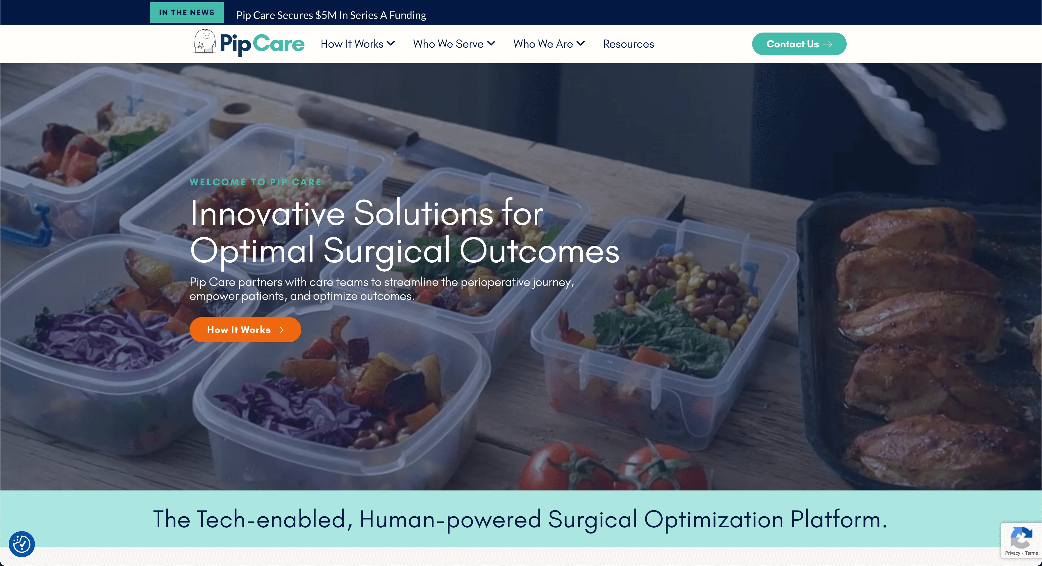 Pipcare Site Preview Image
